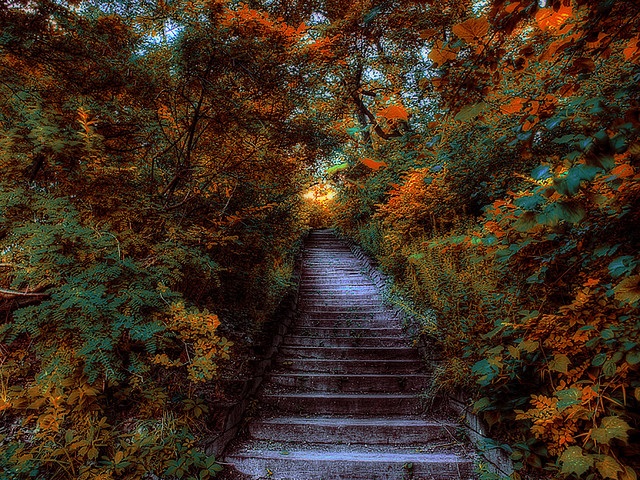 2013 Journey path